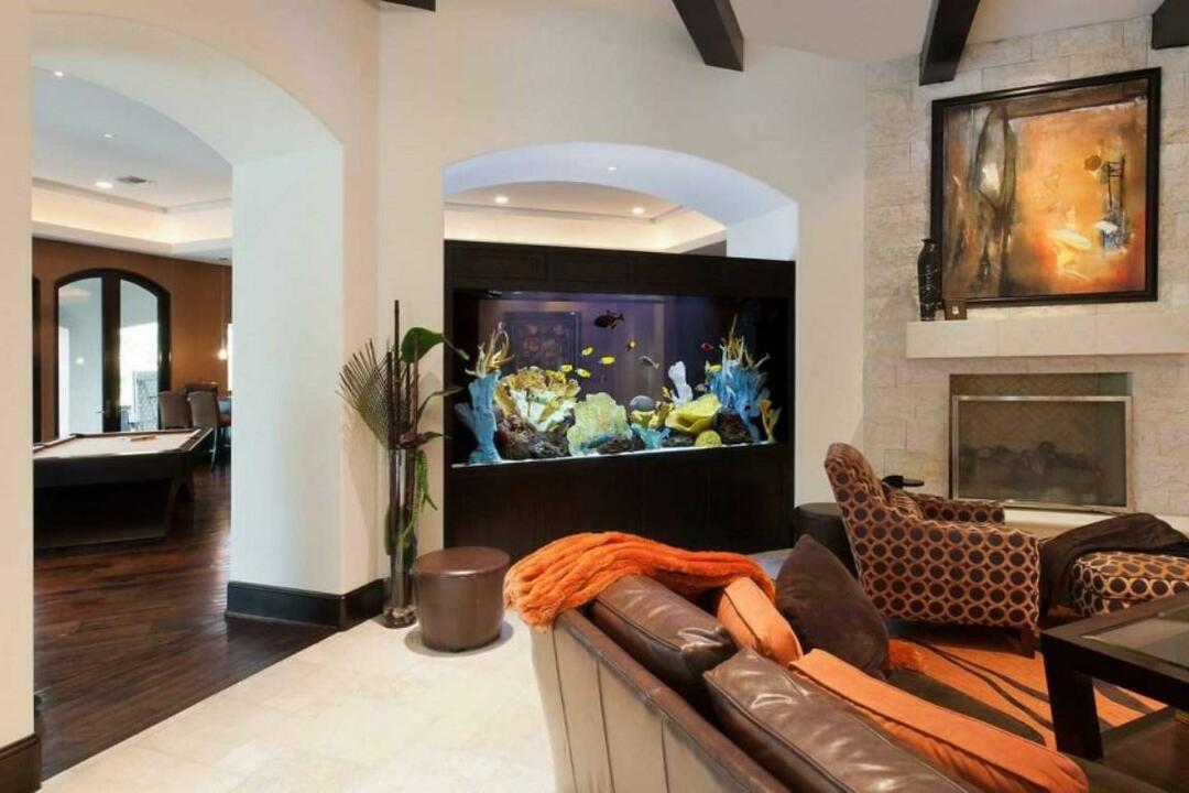Aquarium in the wall between rooms: types and design of a vessel in the interior of the room
