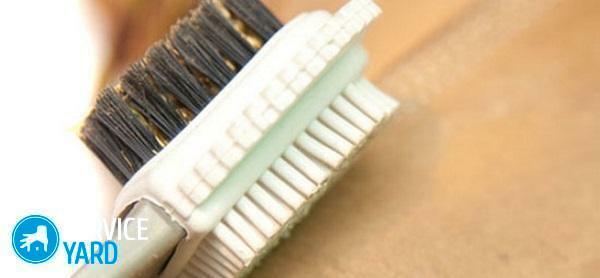 Kako očistiti belo krzno od žilavosti doma?