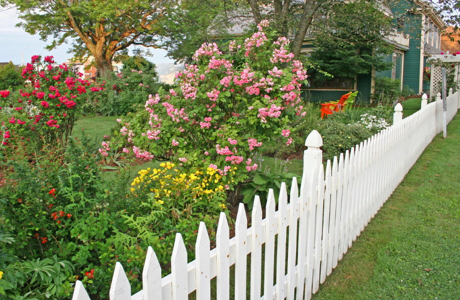 Lilleaia kaunistamine valge aiaga eesaias