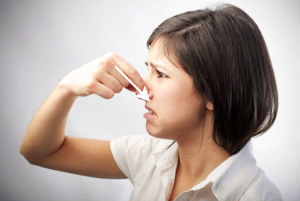 Bevaring af VVS: forebyggelse af ubehagelig lugt og bevarelse af ydeevne