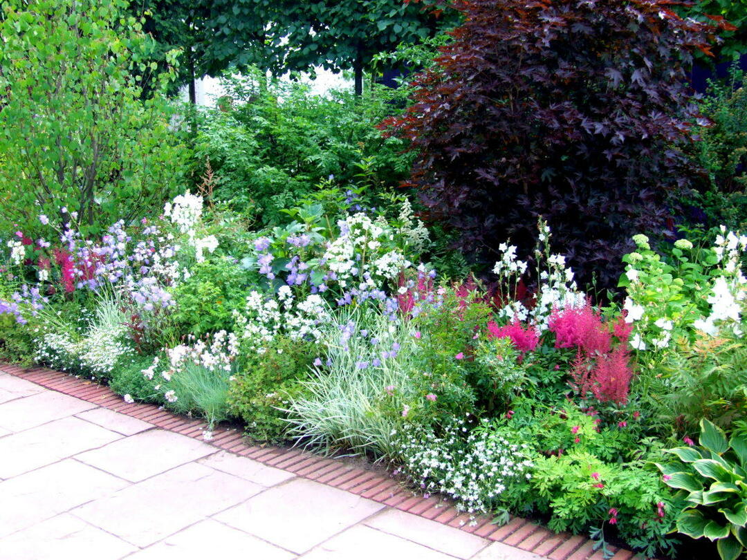 Composizioni floreali in giardino e in campagna: fiori nella progettazione del paesaggio della trama del giardino