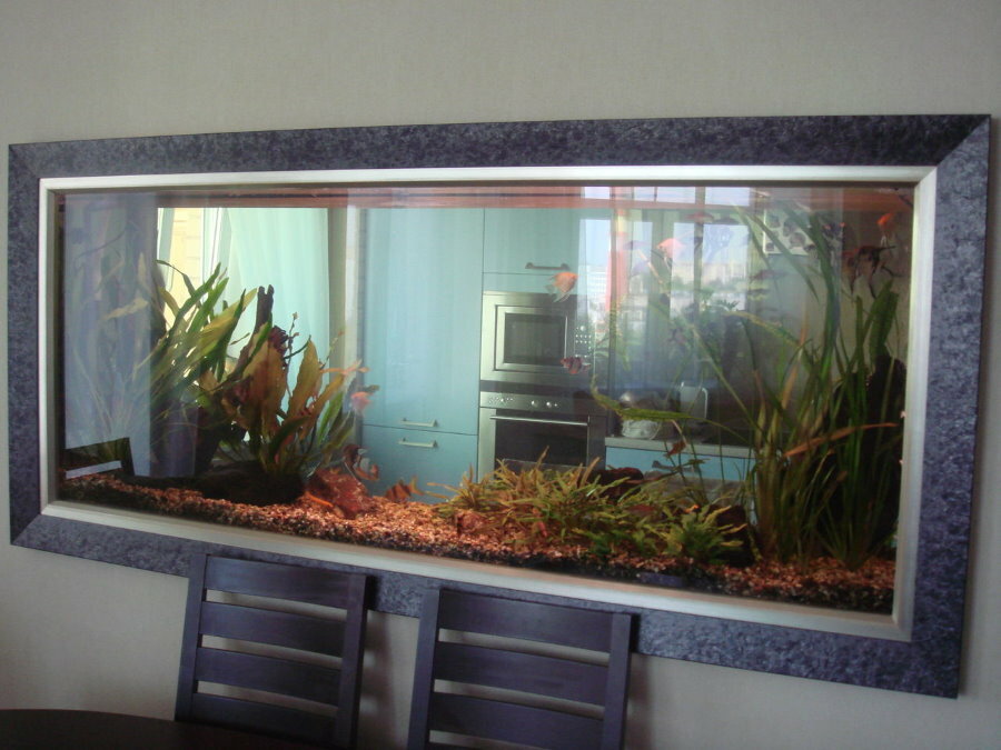 Läbipaistev akvaarium õhukeses sisevaheseinas