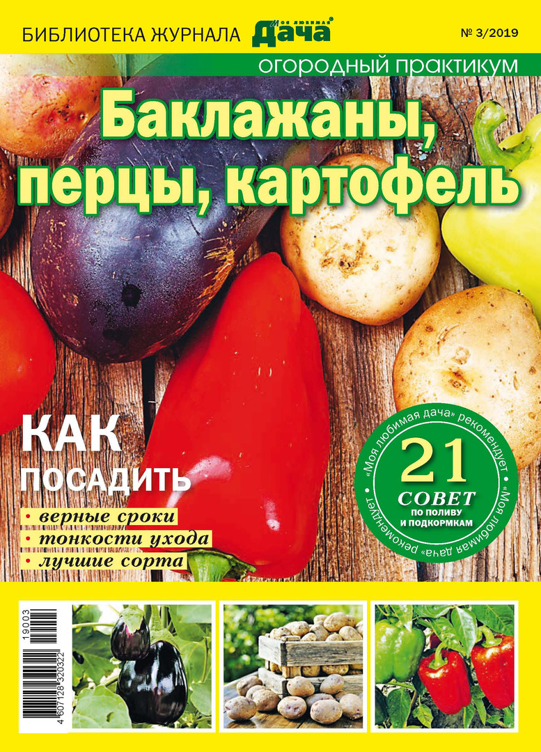 " En sevdiğim kulübem" dergisinin kütüphanesi № 03/2019. Patlıcan, biber, patates