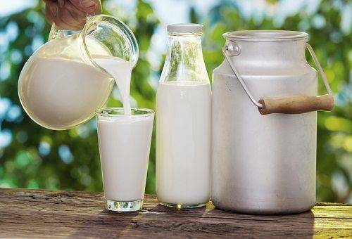 Lagerung von Milch zu Hause: Begriffe, Regeln, Nuancen