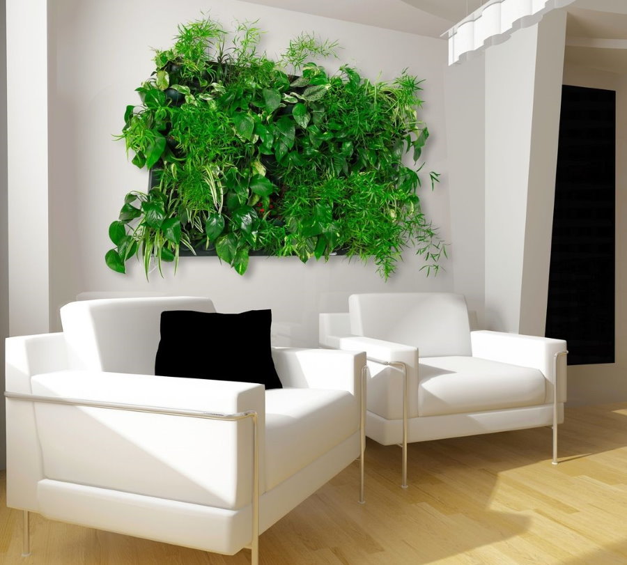 Panel zelených rastlín za bielymi kreslami v obývačke