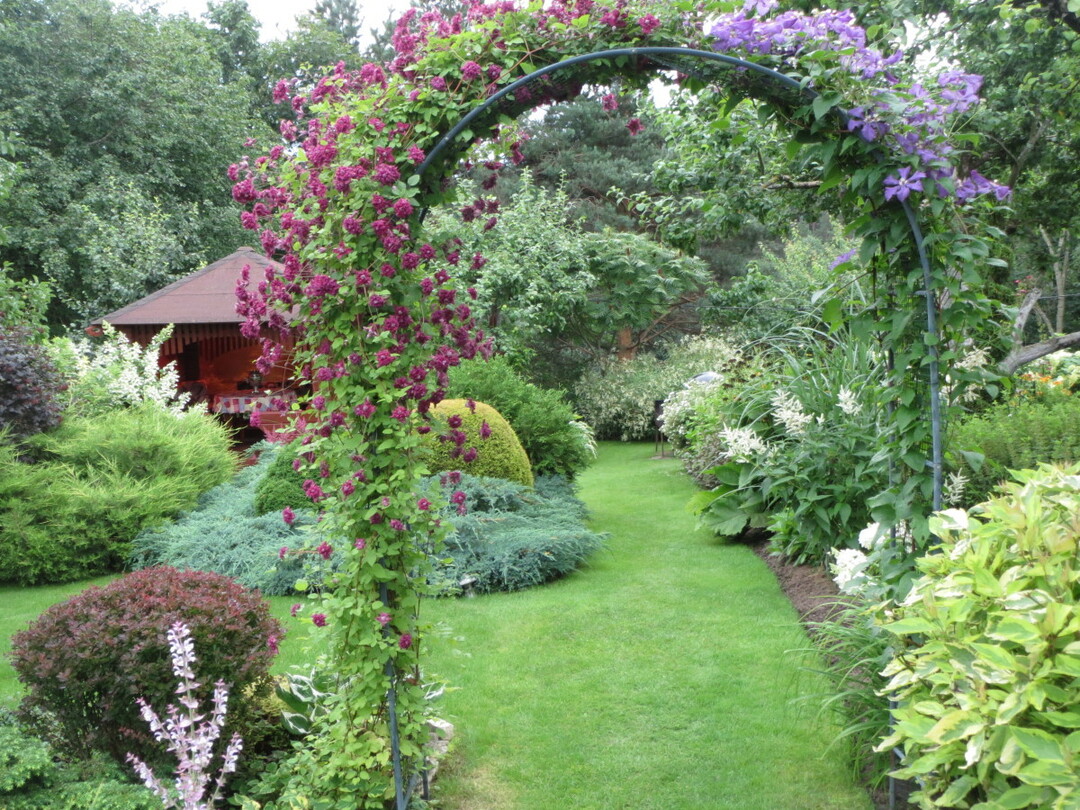 Arco da giardino e pergolato: elementi decorativi in ​​metallo e legno