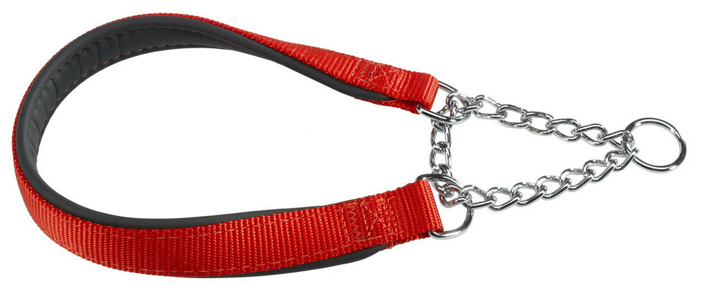 Obojok pre psov Ferplast DAYTONA CSS 65 cm x 2,5 cm červený