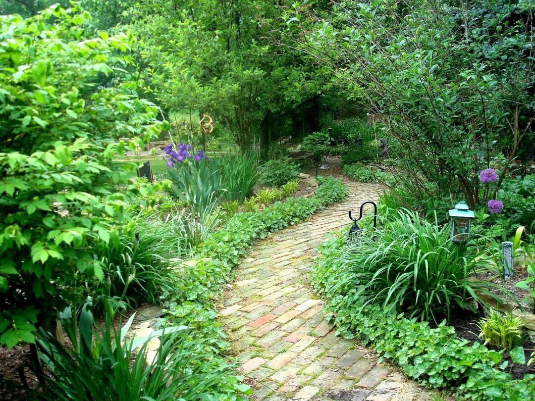 Paths in the country: budget views, arrangement options, photos