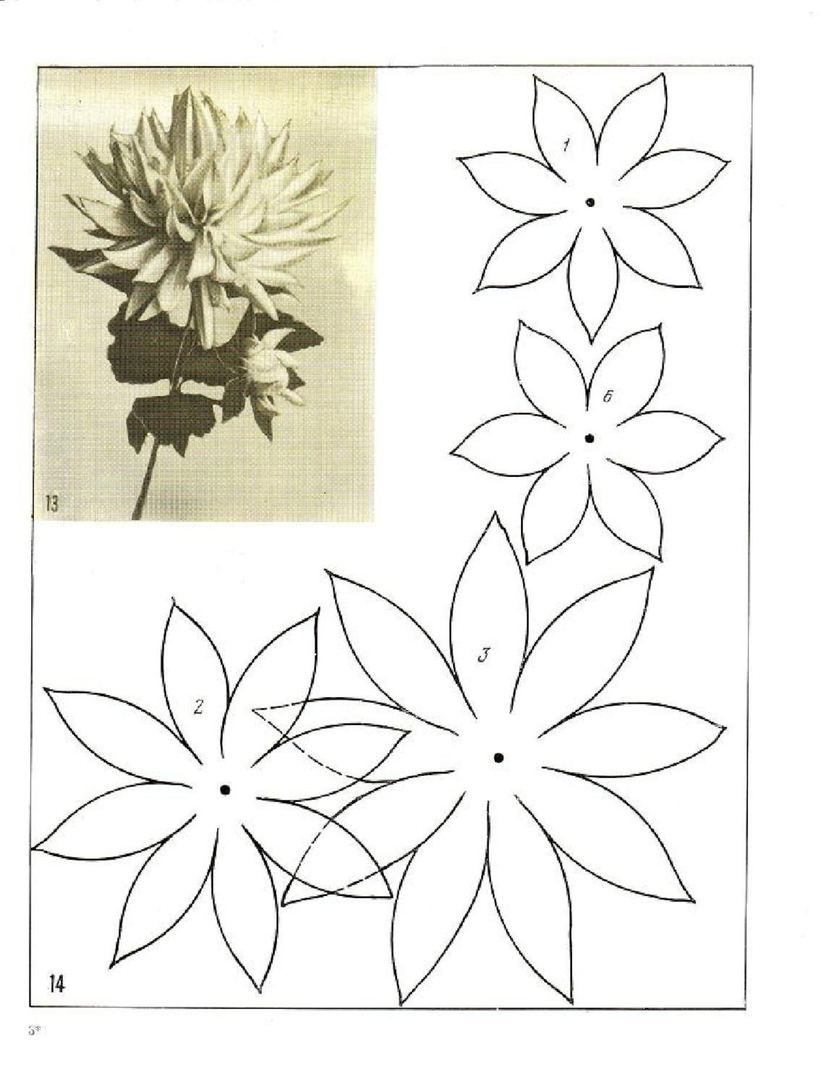 50 šablona i uzoraka za izradu cvijeća od papira