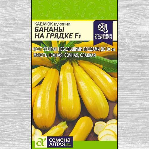 Zucchini-Bananen im Garten F1