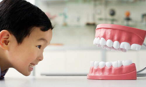 Katere so najboljše zobne proteze - prednosti in slabosti sort