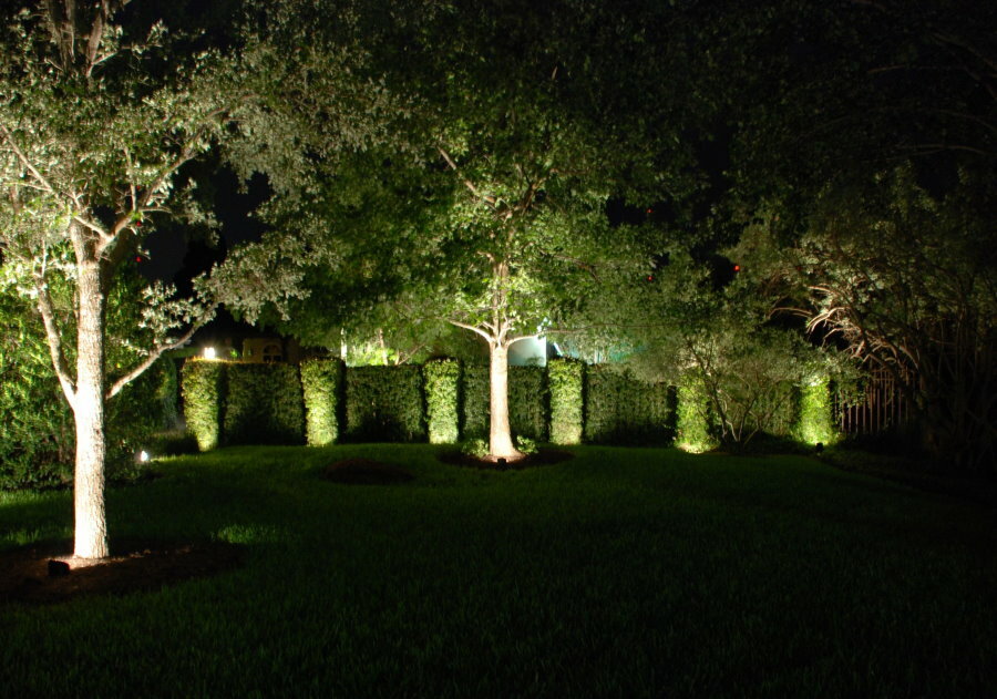 Dekorativ belysning av trær i hagen