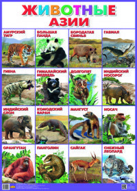 Aasia loomad. Plakat