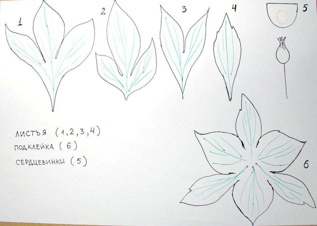 50 šablon in vzorcev za izdelavo papirnatih rož