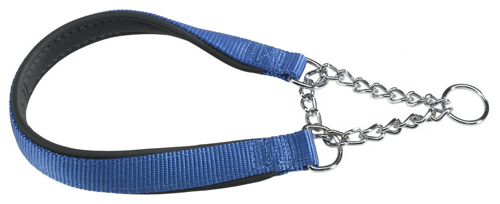 Obojok pre psov Ferplast DAYTONA CSS 60 cm x 2,5 cm modrý
