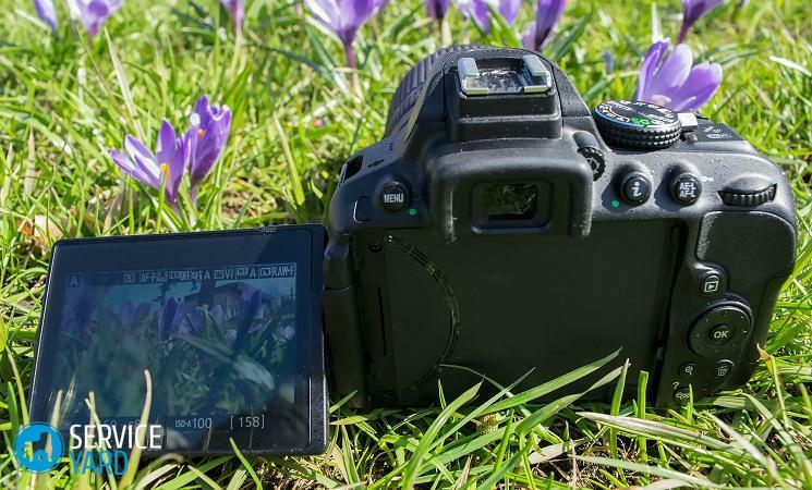Welche Kamera ist besser - Canon oder Nikon?