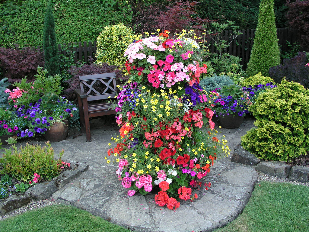 Kvetinová záhrada pred domom: ako rozbiť záhon v oblasti pod oknami, správny dizajn