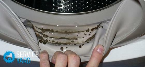 Wie man eine Waschmaschine zu Hause schnell von Schimmelpilzen und Schwarzpilzen befreit?