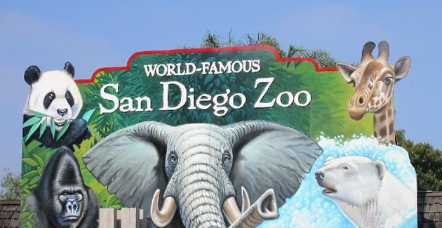 Top 10 największych ogrodów zoologicznych na świecie