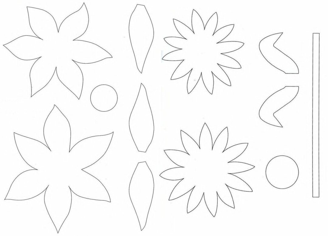 50 šablona i uzoraka za izradu cvijeća od papira