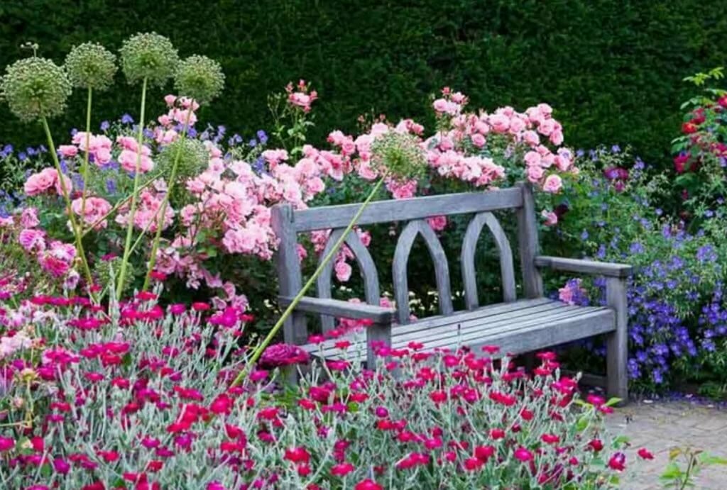 Geranija na vrtu: fotografija, dekoracija mesta s cvetličnimi gredicami z vrtnimi pelargoniji