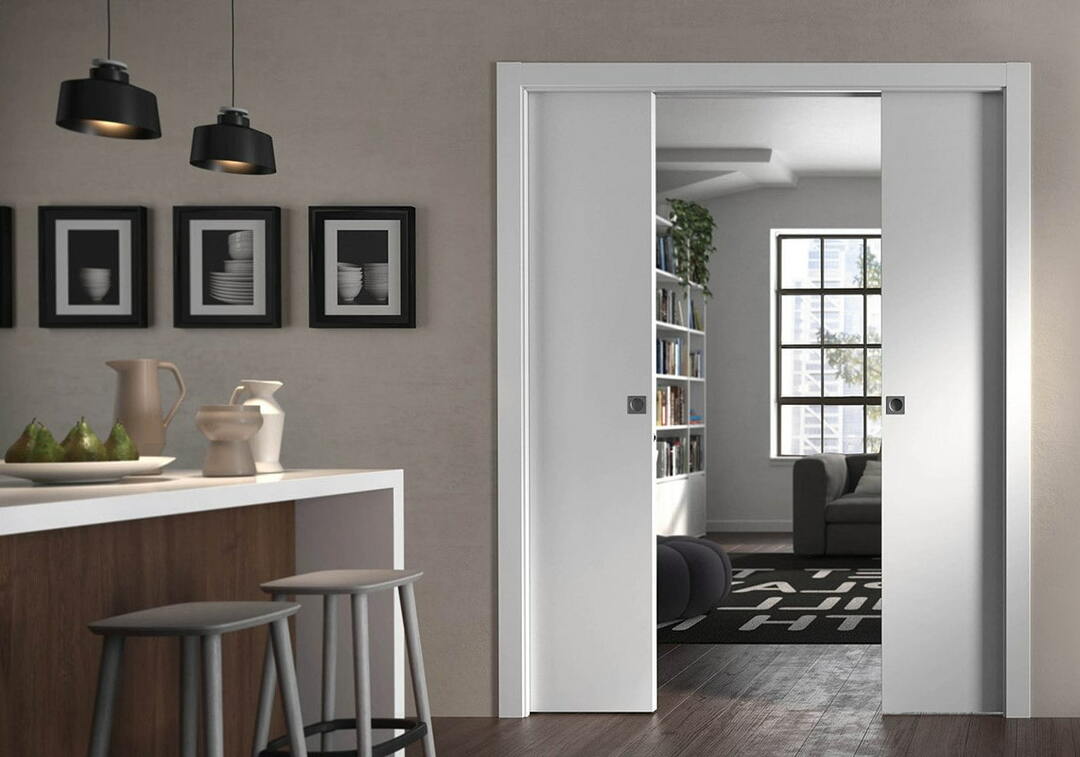 Posuvné dvere do miestnosti: interiér, priehradka a ďalšie možnosti, príklady fotografií