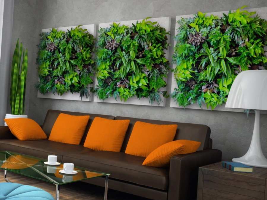 Dekor so živými rastlinami na stene nad pohovkou