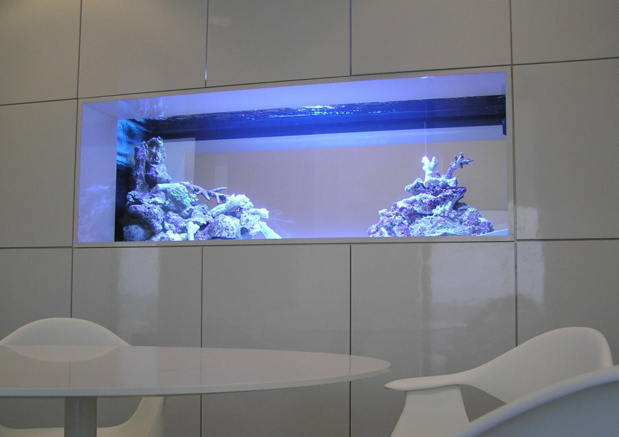 Seina sisse ehitatud akvaariumi sinine valgustus