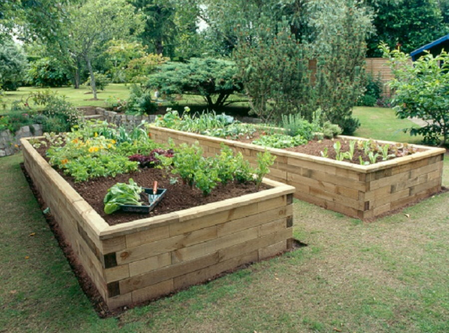 Ideen für einen Garten und einen Gemüsegarten: interessante Beispiele der Landschaftsgestaltung für eine Sommerresidenz