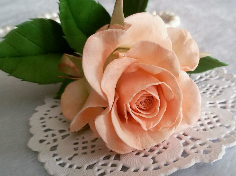Prachtige rozen met je eigen handen: 7 materialen waarvan je een " bloemenkoningin" kunt maken om je huis te versieren