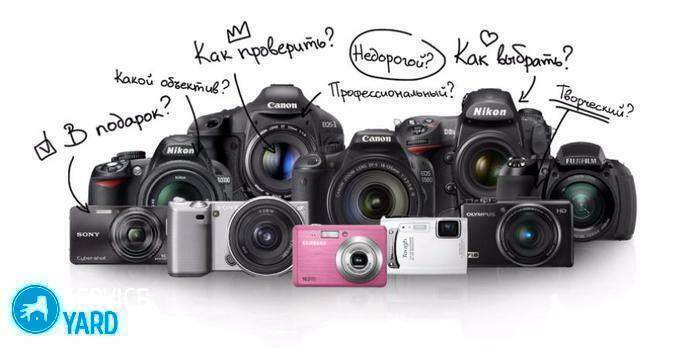 Kameras - welche sollte man wählen?