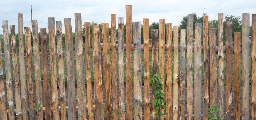A fence made of slabs and wane: photos of all embodiments of the beautiful fences