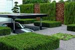 Overpay or make your own hands: landscape design suburban area, photos and practical advice