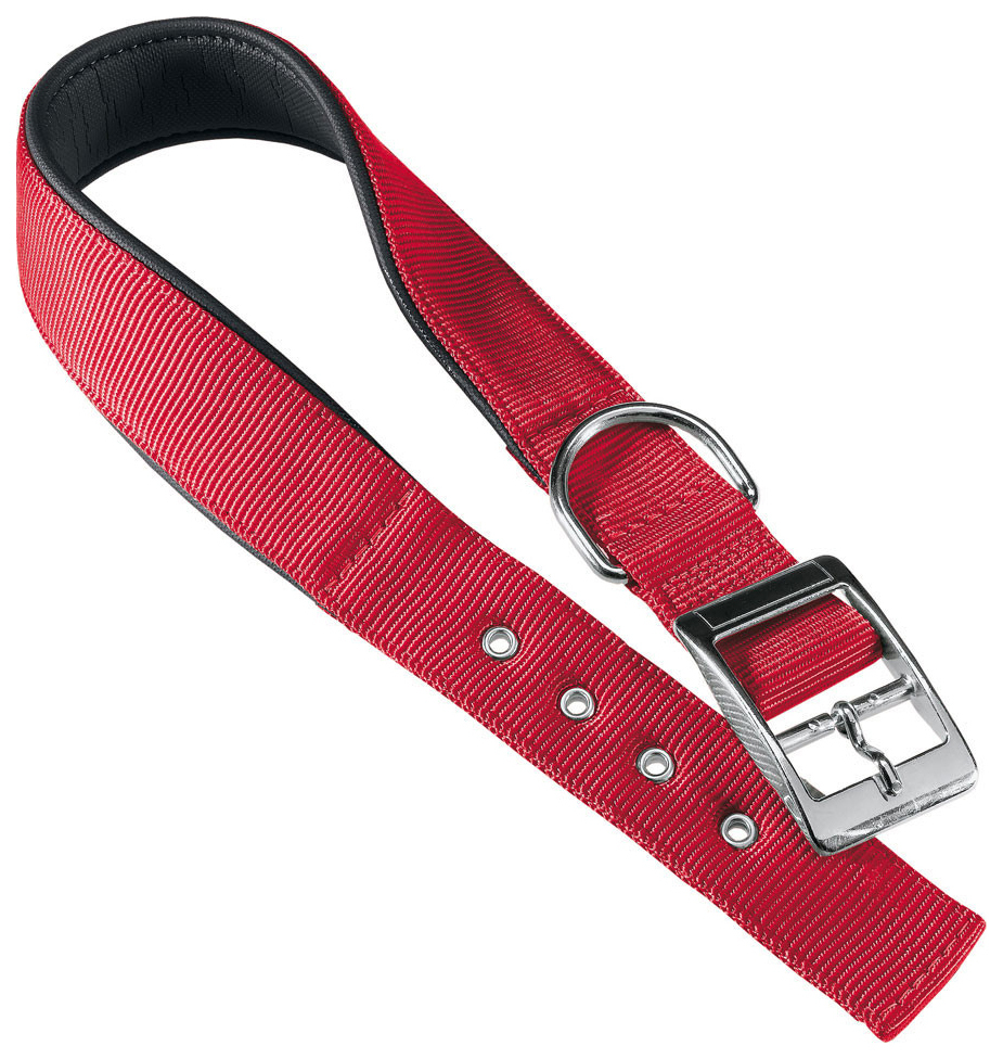 Halsband für Hunde Ferplast DAYTONA 61-69 cm x 4 cm Rot