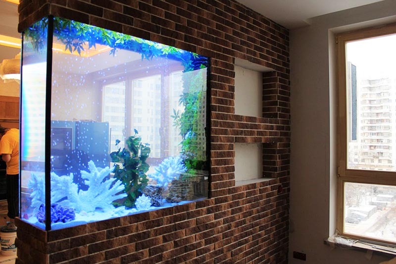 Aquarium im Innenraum: die luxuriösesten Ideen für eine Wohnung