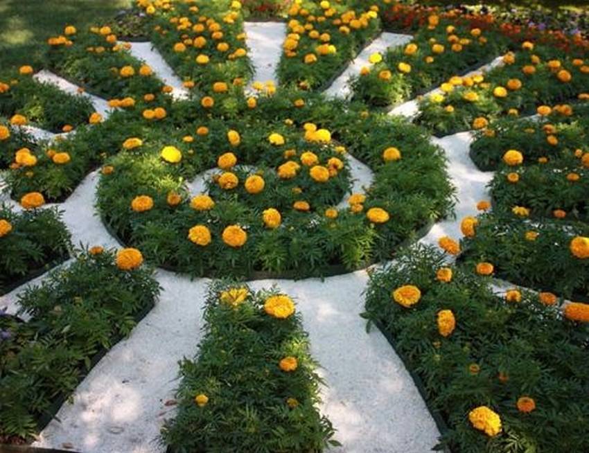 A flower bed of marigolds in the form of the sun