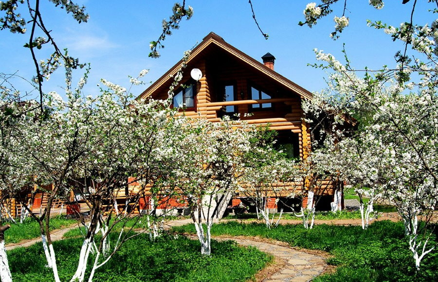 Bloeiende tuin op een perceel met een houten huis