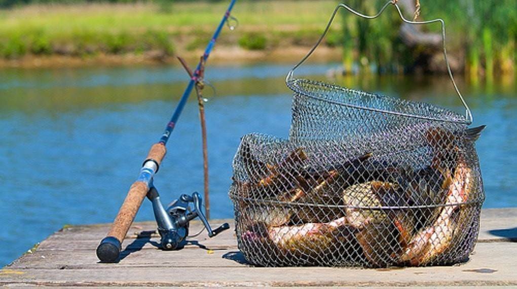 Waarom wordt vissen de beste hobby voor mannen genoemd?